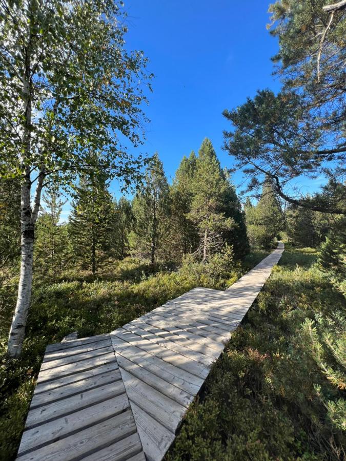 Annis Panoramablick Pool Sauna Tennis Apartment Schonach im Schwarzwald