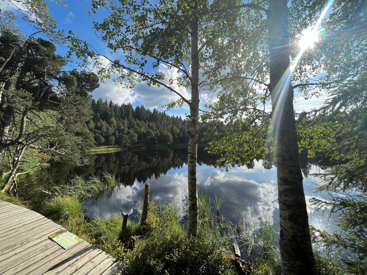 Apartment Annis Panoramablick Pool Sauna Tennis Schonach im Schwarzwald
