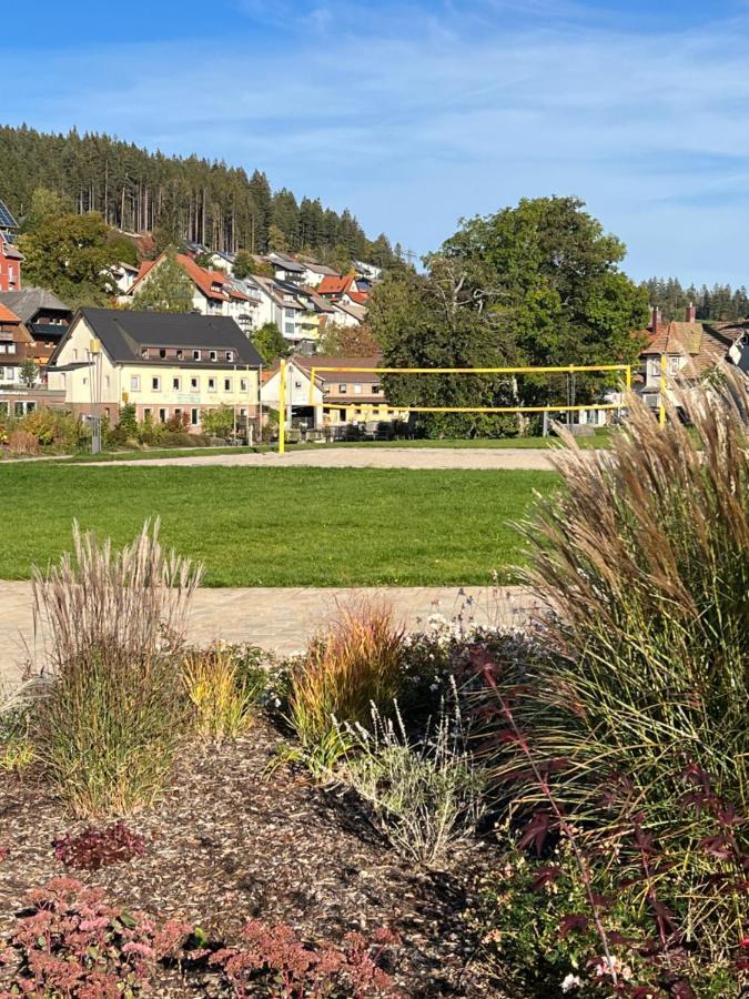 Annis Panoramablick Pool Sauna Tennis Schonach im Schwarzwald