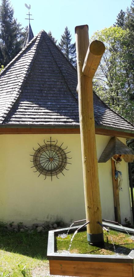 Annis Panoramablick Pool Sauna Tennis Apartment Schonach im Schwarzwald