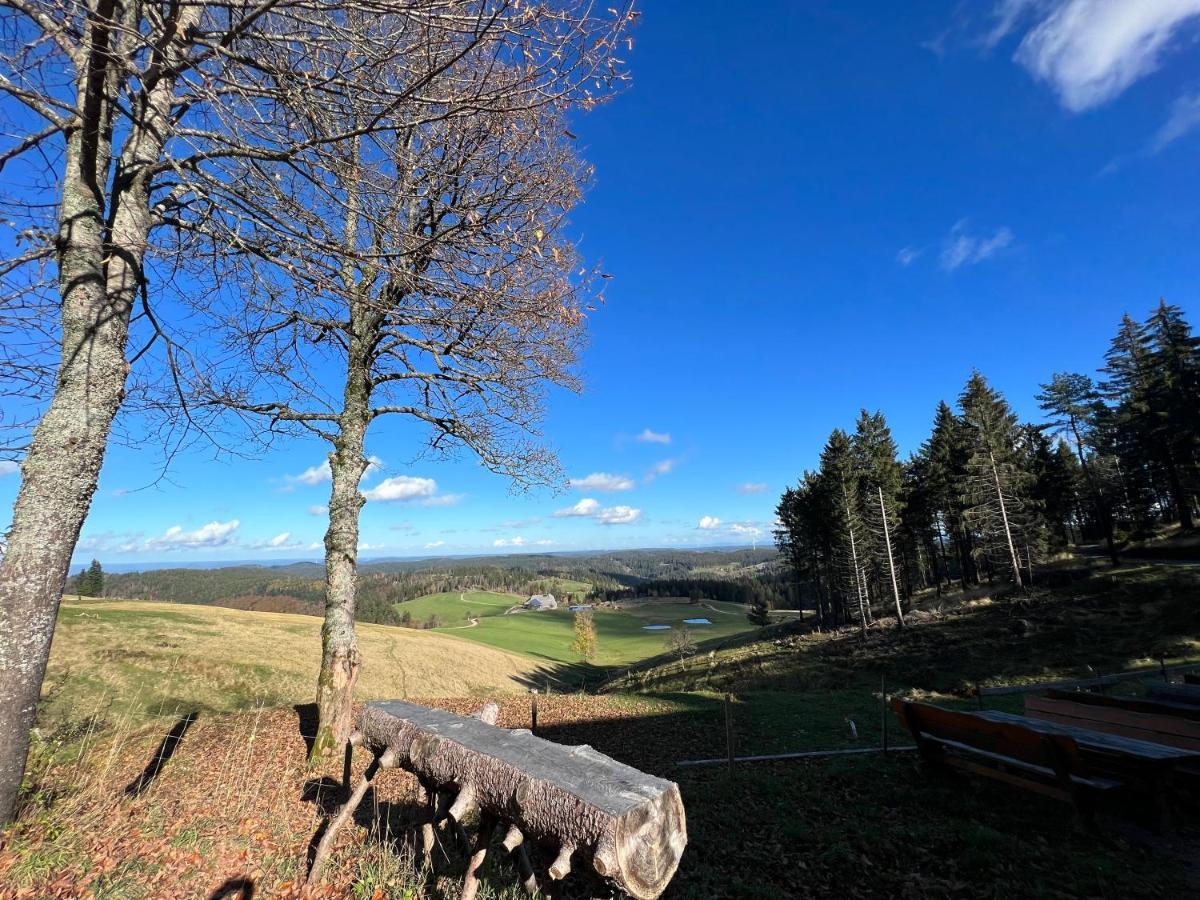 Annis Panoramablick Pool Sauna Tennis Schonach im Schwarzwald